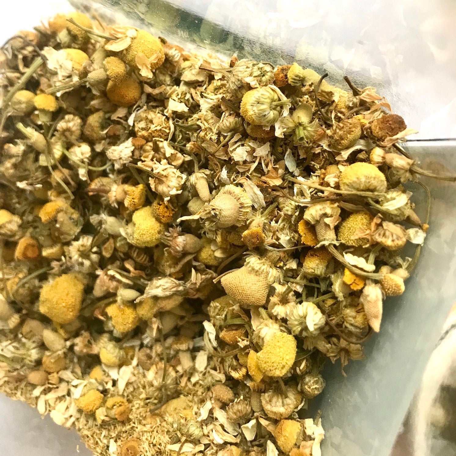 Dried chamomile in a glass jar with a white background