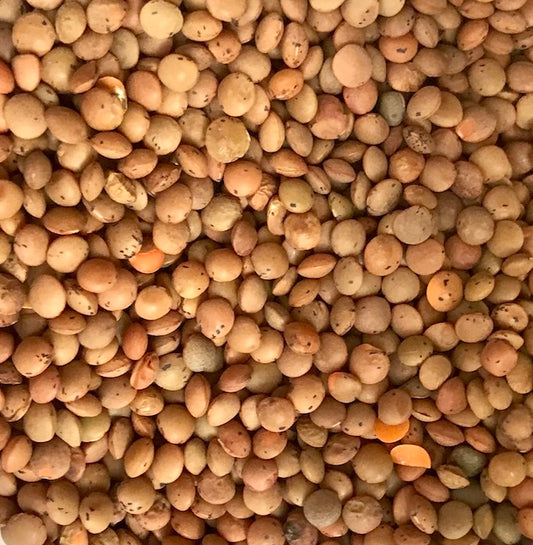 brown lentils per 100g