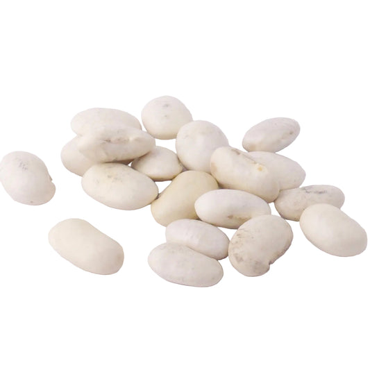 Butter Beans scattered on a white background