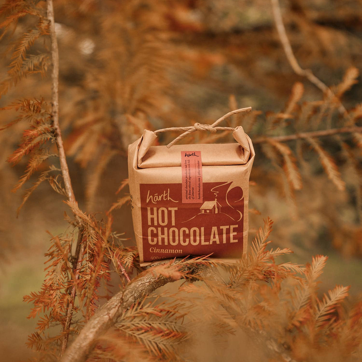 A bag of Harth hot chocolate package on  fir tree branch with a blurred natural background