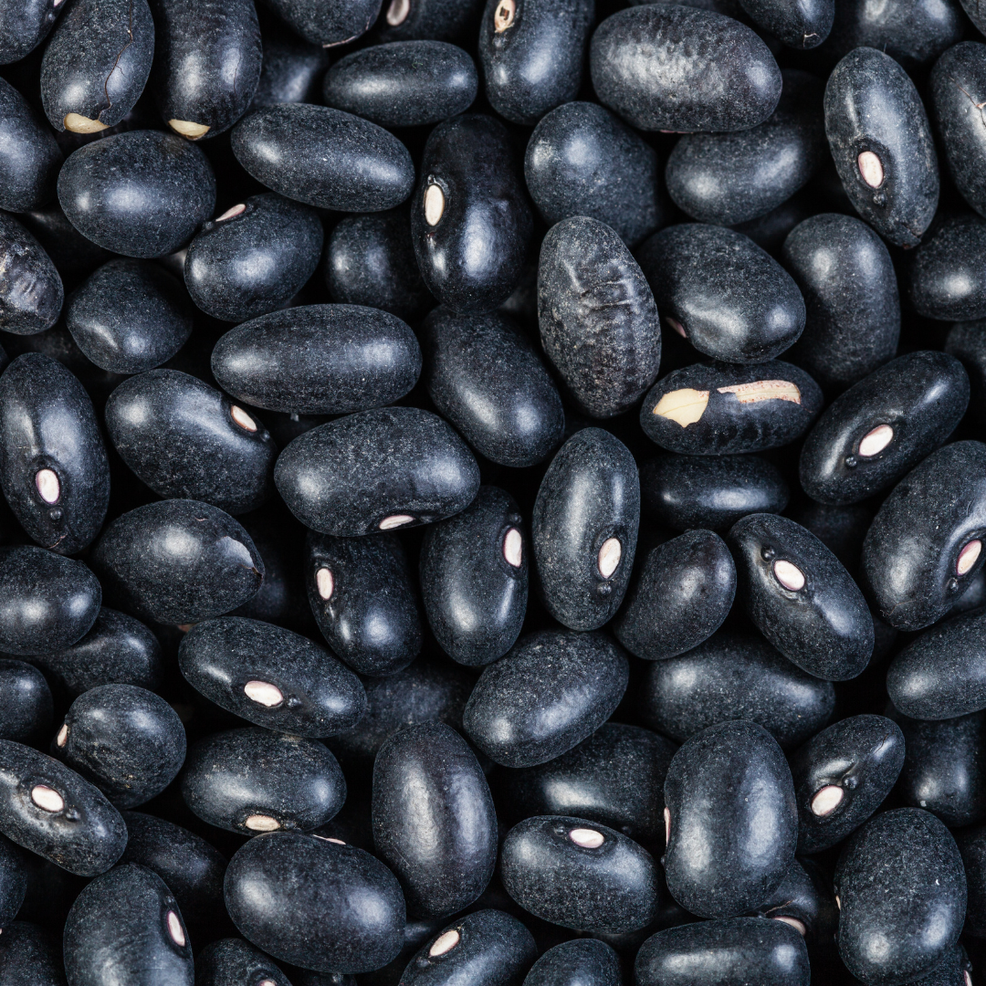 a collection of small black beans