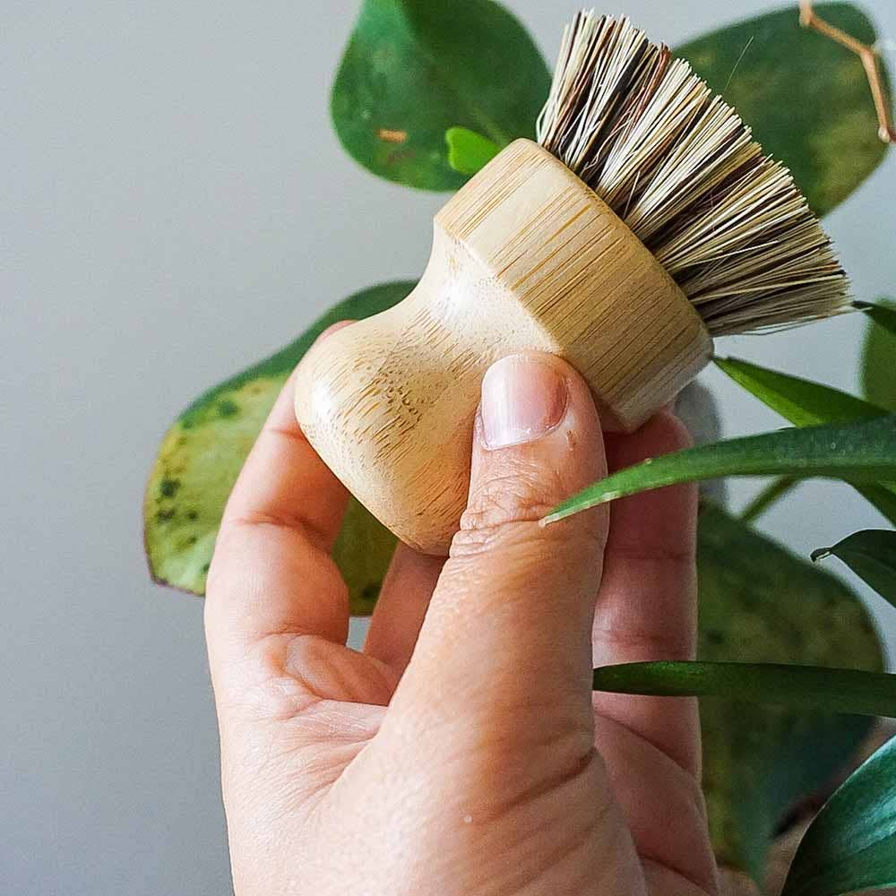 A hand holding a small bamboo-handled pot cleaning brush with natural bristles, photographed against a soft gray background with green plant leaves visible.