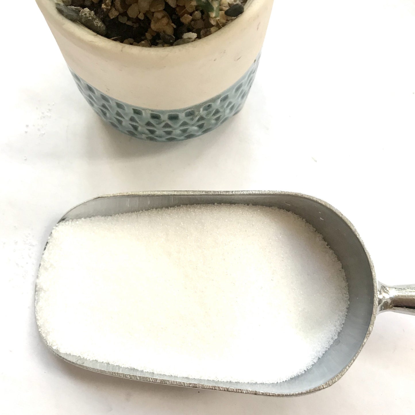 A metal scoop on a white background holding some white crystals of food grade citric acid, with a small plant pot at the top the image.