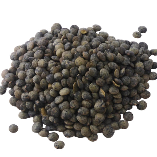 Speckled dark green Puy Lentils scattered in a pile on a white background