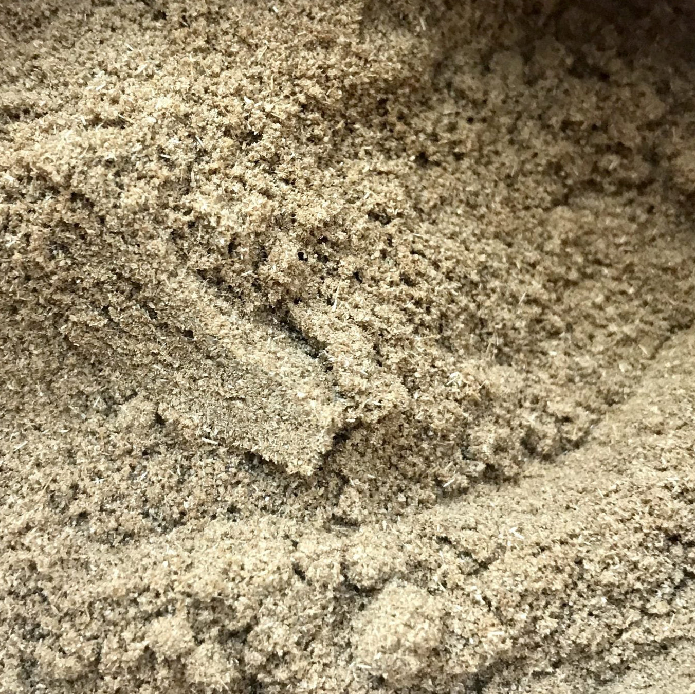 A close up image of a ground brown powder which is coriander spice.