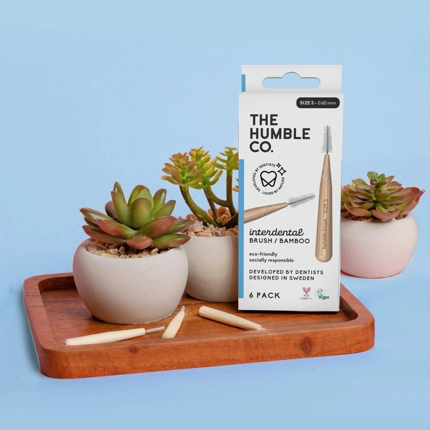 Blue The Humble Co Interdental Brushes box, with 3 bamboo brushes on a wooden tray with succulent plants in white pots.