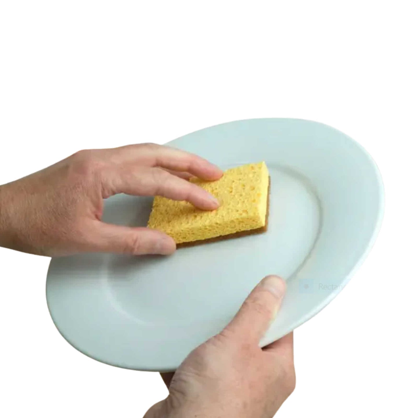 Livecoco sponge being used on a plate.
