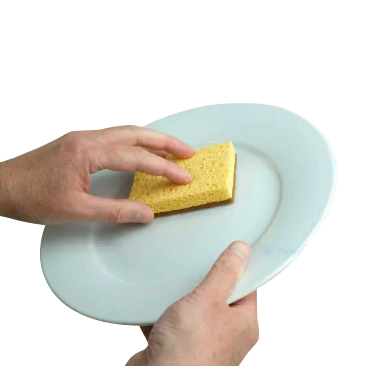 Livecoco sponge being used on a plate.