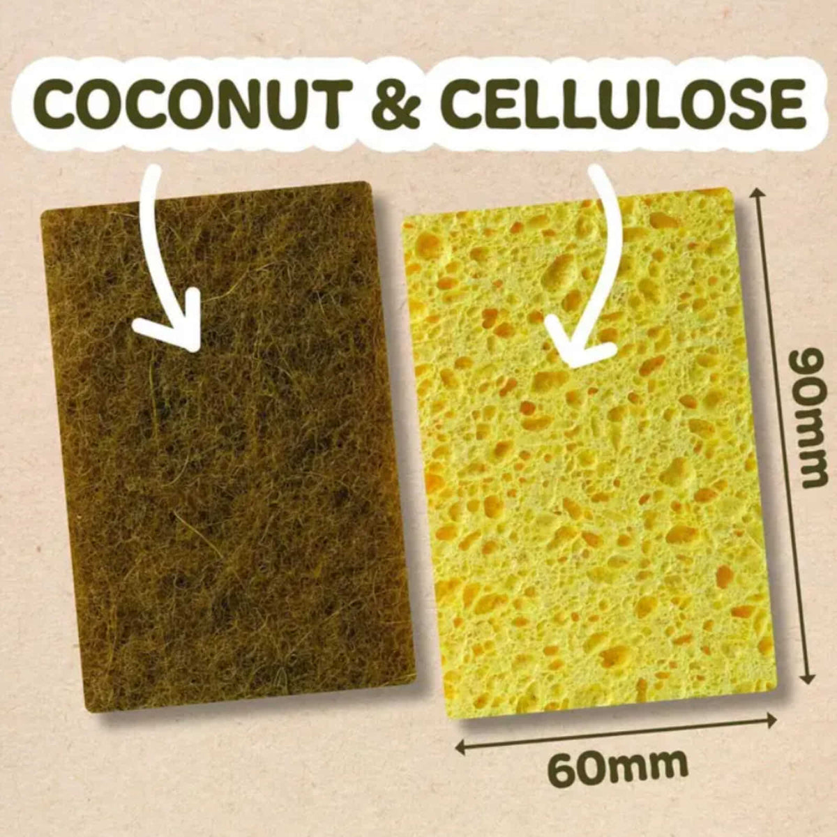 Livecoco sponge with each side and dimensions