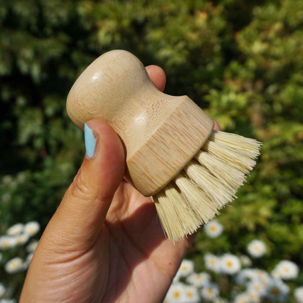 A hand holding a small natural wood  pot scrubber brush with natural bristles, set against a blurred background of green foliage and white flowers.