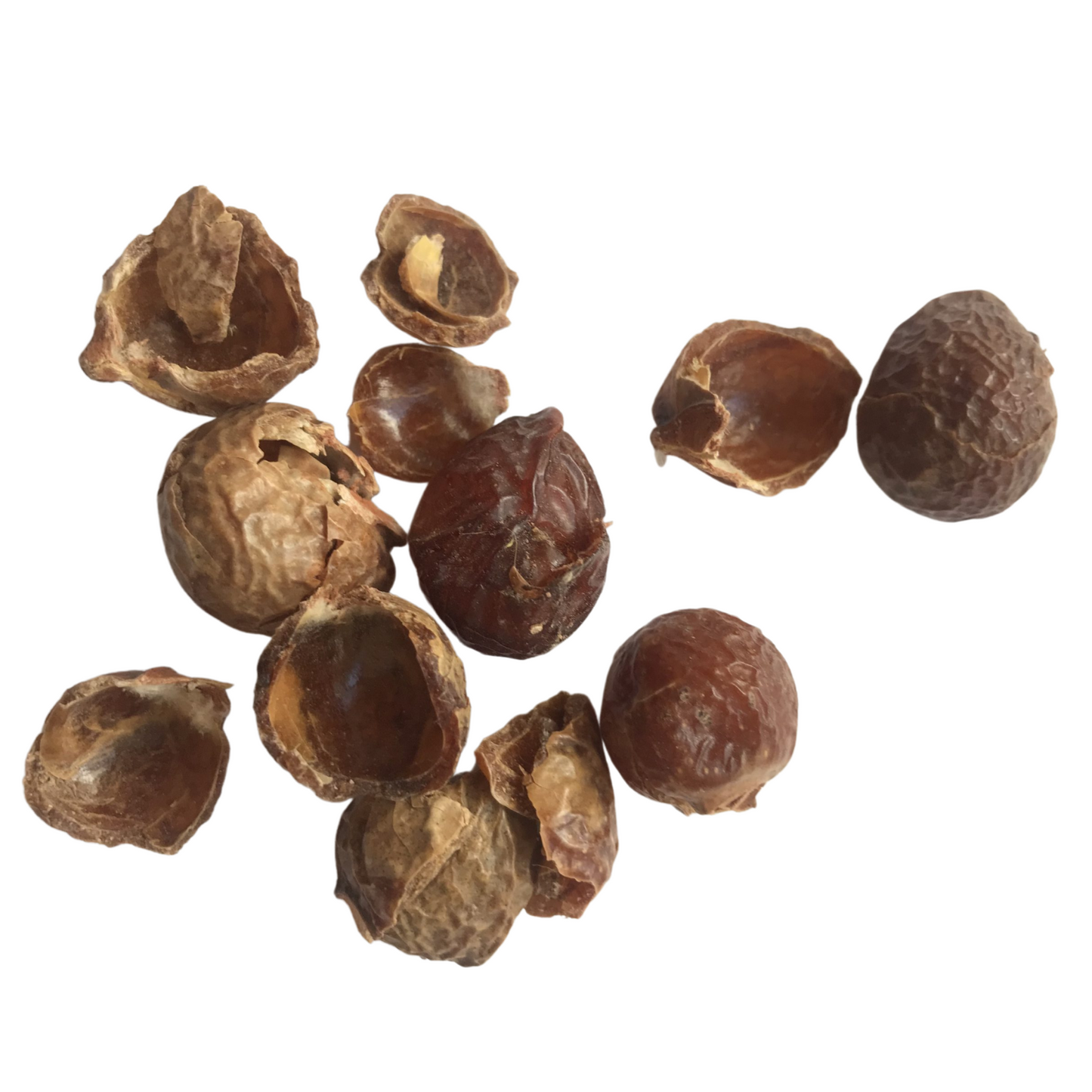 Soapnuts for laundry on a white background